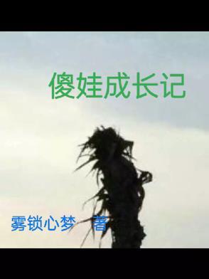 傻娃蜕变记 傻娃蜕变记