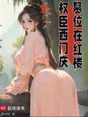 权臣西门庆,篡位在红楼 权臣西门庆,篡位在红楼